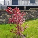 Hippolits Appartamento Châtel-Guyon
