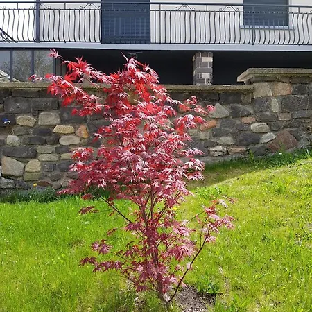 Hippolits Apartment Chatel-Guyon