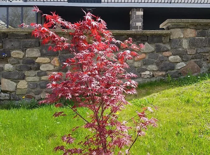 Hippolits Apartment Chatel-Guyon