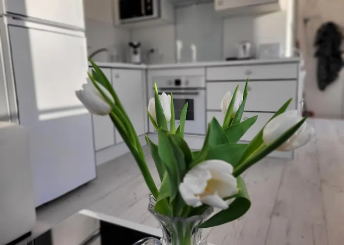 Hippolits Apartment *